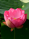 %_tempFileName02-20150712-0214%