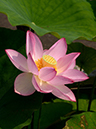 %_tempFileName05-20190620-0111%