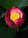 %_tempFileName02-20090711-0131%