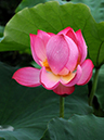 %_tempFileName03-20100704-0006%
