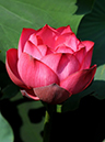 %_tempFileName04-20100727-0086%