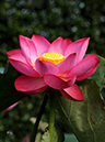 %_tempFileName05-20110723-0109%