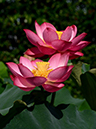 %_tempFileName07-20120716-0087%