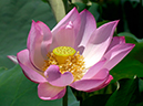 %_tempFileName03-20020808-0123%