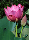 %_tempFileName05-20080726-0079%
