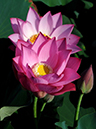 %_tempFileName06-20080726-0080%