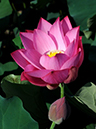 %_tempFileName08-20080726-0083%
