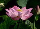 %_tempFileName01-20120716-0053%