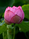 %_tempFileName02-20120721-0065%