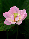 %_tempFileName03-20130630-0012%