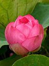 %_tempFileName10-20140802-0158%