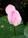 %_tempFileName01-20150705-0126%
