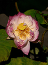 %_tempFileName02-20190715-0082%