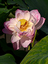 %_tempFileName03-20190715-0086%