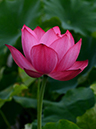 %_tempFileName01-20140706-0058%