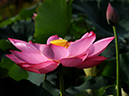%_tempFileName02-20090725-0109%
