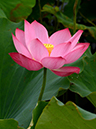 %_tempFileName05-20140719-0128%