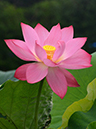 %_tempFileName10-20190720-0052%