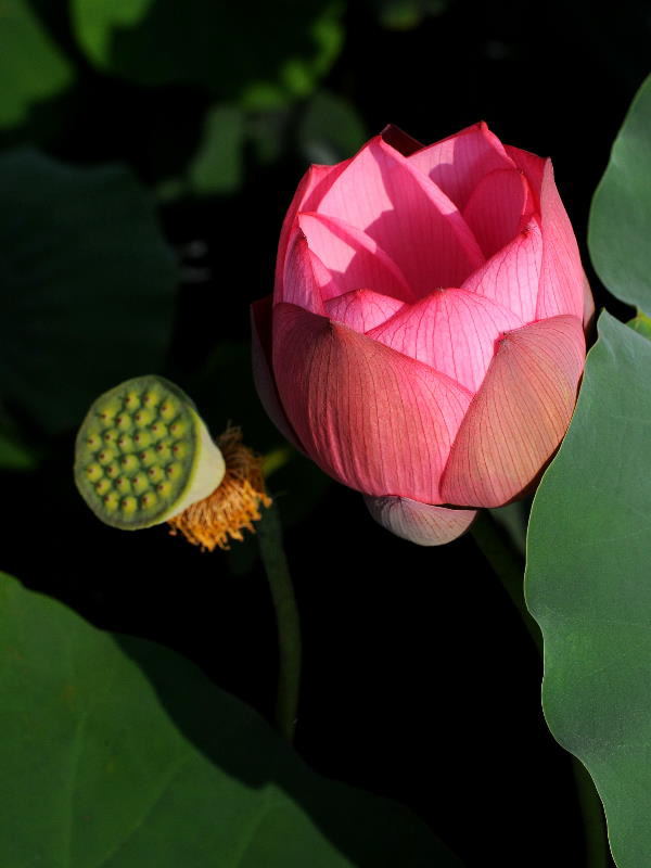 %_tempFileName06-20110814-0150%