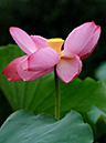 %_tempFileName01-20060720-0032%
