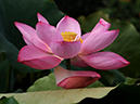 %_tempFileName04-20090725-0098%