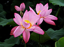 %_tempFileName05-20100704-0013%