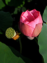 %_tempFileName06-20110814-0150%