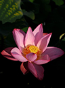 %_tempFileName07-20110814-0152%