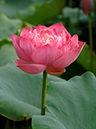 %_tempFileName01-20050723-0039%