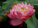 %_tempFileName03-20070708-0076%