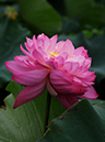 %_tempFileName04-20090718-0147%