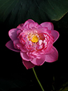 %_tempFileName08-20100808-0089%
