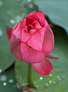 %_tempFileName01-20040626-0038%