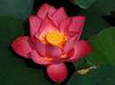 %_tempFileName03-20060809-0082%