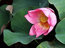 %_tempFileName04-20080816-0013%