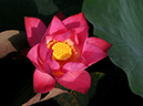 %_tempFileName05-20110723-0210%