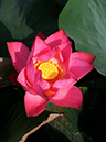 %_tempFileName06-20110723-0214%