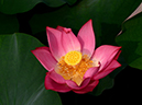 %_tempFileName07-20120714-0009%