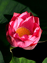 %_tempFileName08-20120716-0018%
