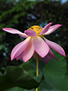 %_tempFileName05-20100808-0138%