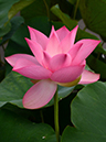 %_tempFileName06-20120812-0003%