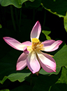%_tempFileName10-20190626-0120%
