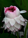 %_tempFileName05-20120805-0005%