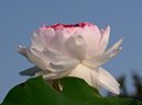 %_tempFileName06-20140721-0078%