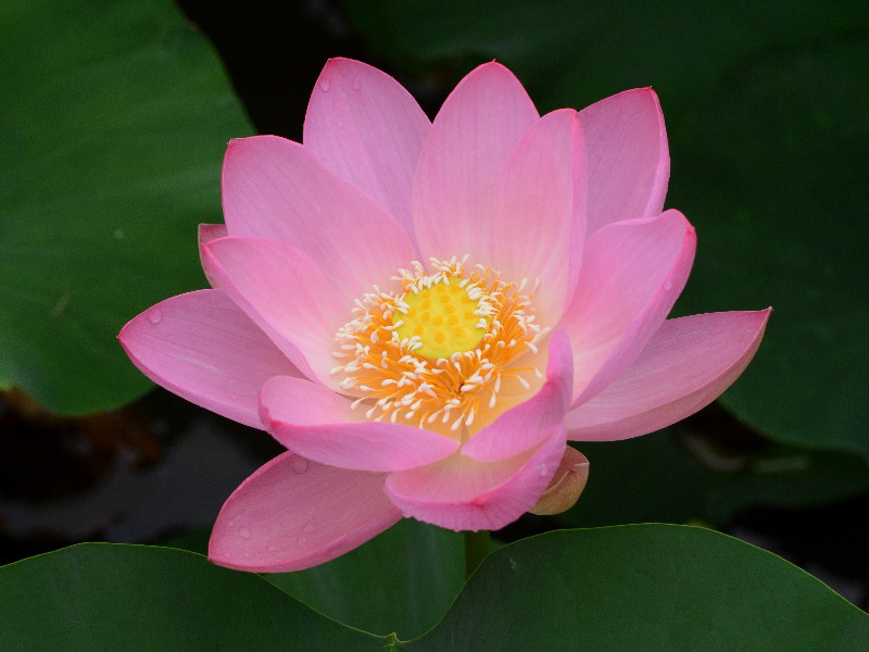 %_tempFileName06-20130622-0005%