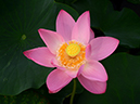 %_tempFileName02-20120714-0043%