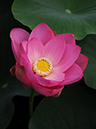 %_tempFileName03-20090628-0010%