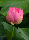 %_tempFileName04-20120714-0015%