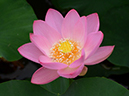 %_tempFileName06-20130622-0005%