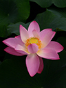 %_tempFileName07-20140706-0082%